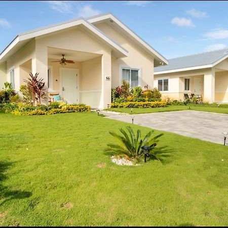 Natty'S Cozy Beach House In Hanover Jamaica 卢西 外观 照片