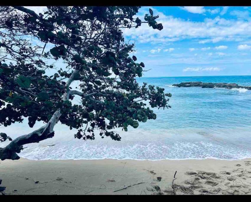 Natty'S Cozy Beach House In Hanover Jamaica 卢西 外观 照片