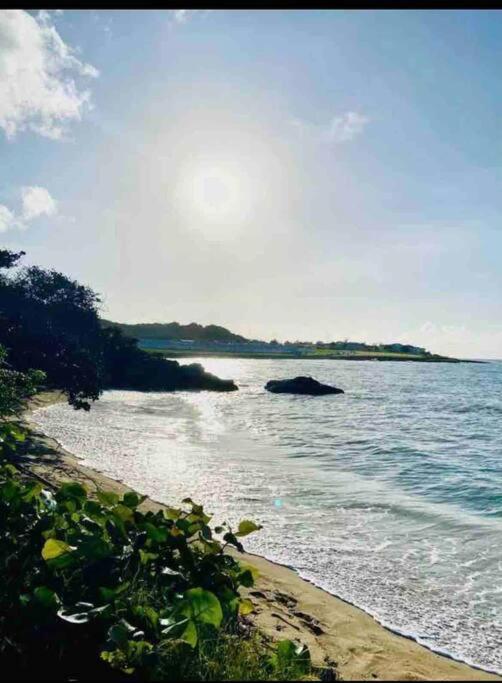 Natty'S Cozy Beach House In Hanover Jamaica 卢西 外观 照片