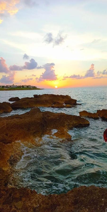 Natty'S Cozy Beach House In Hanover Jamaica 卢西 外观 照片